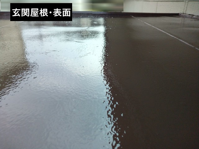 玄関屋根・表面　鉄部